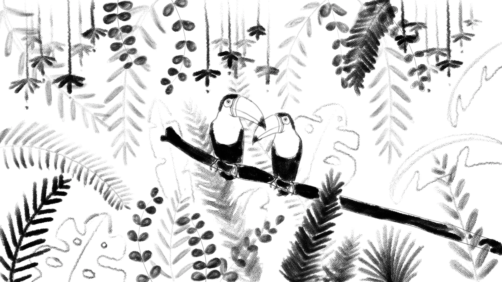 Image du couple de toucans dessinée à la main